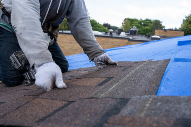 Best Shingle Roofing Installation  in Galliano, LA