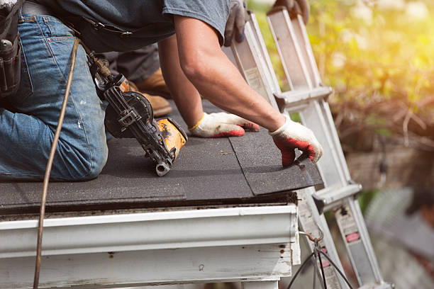 Professional Roofing Contractor in Galliano, LA