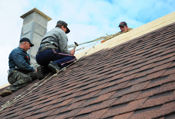 Gutter Installation and Roofing in Galliano, LA